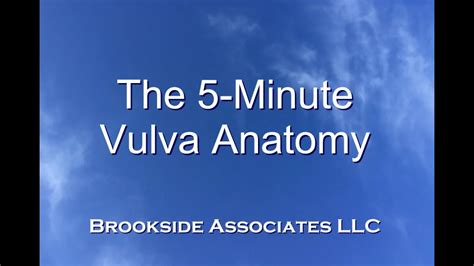 5 Minute Vulva Anatomy Video 